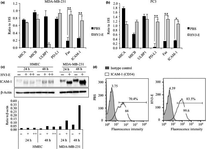 https://cdn.ncbi.nlm.nih.gov/pmc/blobs/d154/5715349/b9ef52952e30/CAS-108-2333-g001.jpg