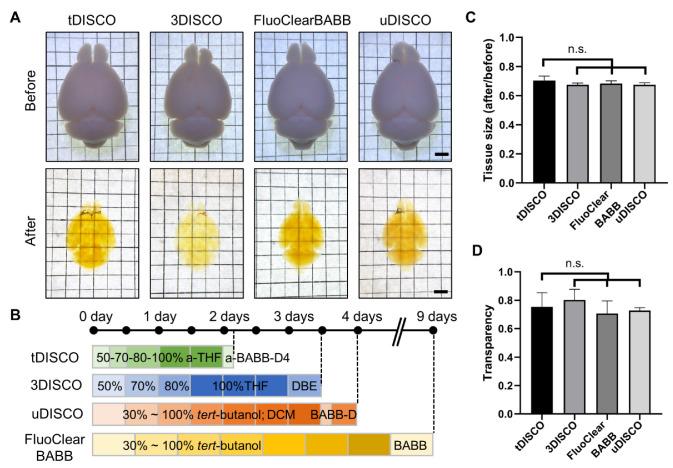 https://cdn.ncbi.nlm.nih.gov/pmc/blobs/d154/9455935/94aa57aadd95/ijms-23-09637-g002.jpg