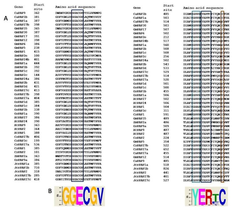 https://cdn.ncbi.nlm.nih.gov/pmc/blobs/d15b/6515233/454af34f7726/ijms-20-01954-g002.jpg