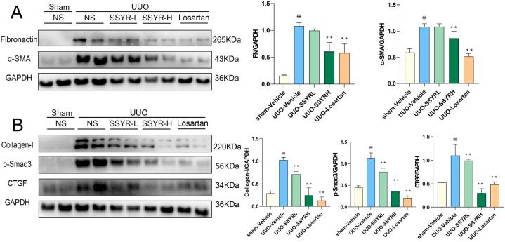 https://cdn.ncbi.nlm.nih.gov/pmc/blobs/d160/10362328/6a5a4c1309d1/gr8.jpg