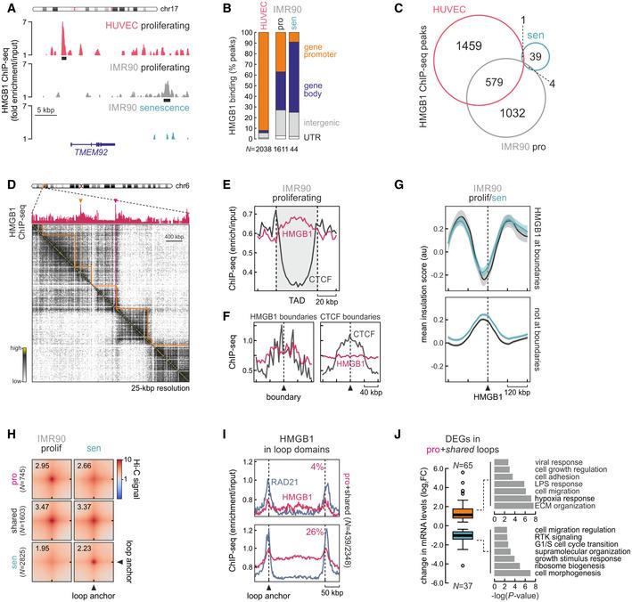 https://cdn.ncbi.nlm.nih.gov/pmc/blobs/d160/8224457/e7c706d1490c/MSB-17-e9760-g001.jpg