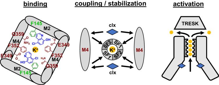 https://cdn.ncbi.nlm.nih.gov/pmc/blobs/d161/10354012/29ccf605a765/42003_2023_5114_Fig9_HTML.jpg