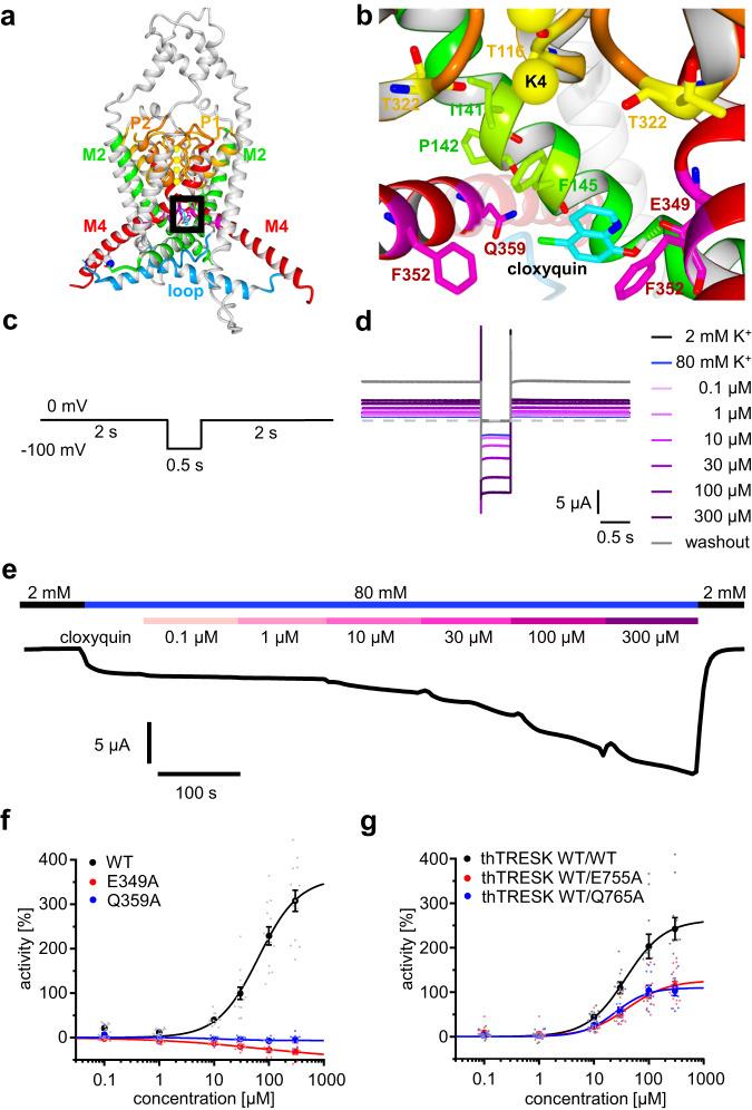 https://cdn.ncbi.nlm.nih.gov/pmc/blobs/d161/10354012/5f9062ca4e86/42003_2023_5114_Fig6_HTML.jpg
