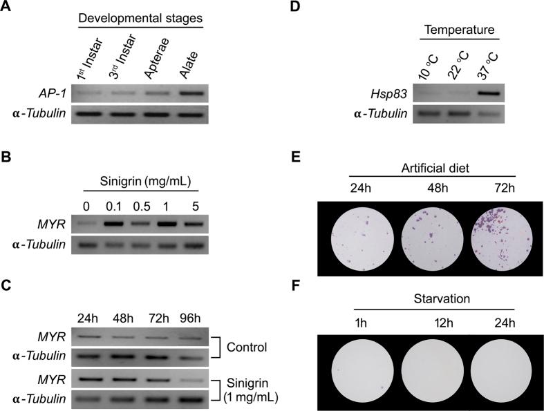 https://cdn.ncbi.nlm.nih.gov/pmc/blobs/d161/4863174/28b33cdbc73b/srep25883-f2.jpg