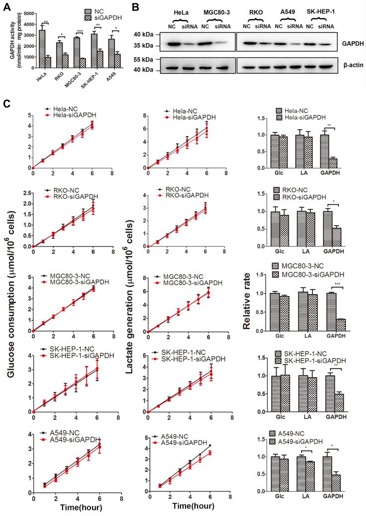 https://cdn.ncbi.nlm.nih.gov/pmc/blobs/d161/7960551/37459e2f93f2/gr2.jpg