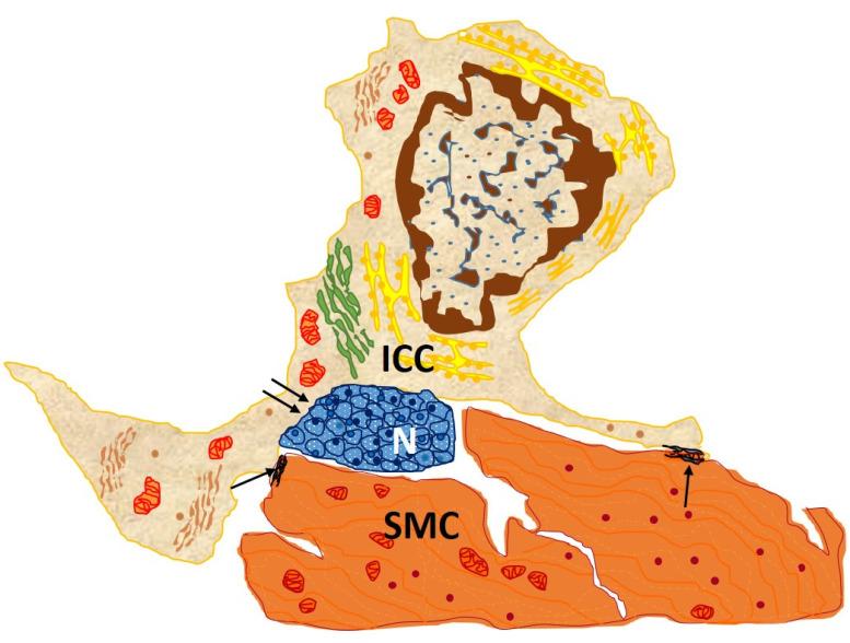 https://cdn.ncbi.nlm.nih.gov/pmc/blobs/d163/10528666/7b3231a12edd/cimb-45-00476-g002.jpg