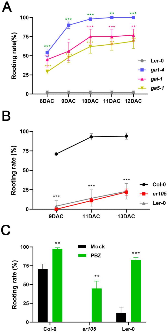 https://cdn.ncbi.nlm.nih.gov/pmc/blobs/d163/11678481/783e33918547/ijms-25-13340-g003.jpg