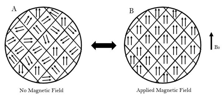 https://cdn.ncbi.nlm.nih.gov/pmc/blobs/d164/8706278/0595fe4fbdd3/nanomaterials-11-03432-g002.jpg