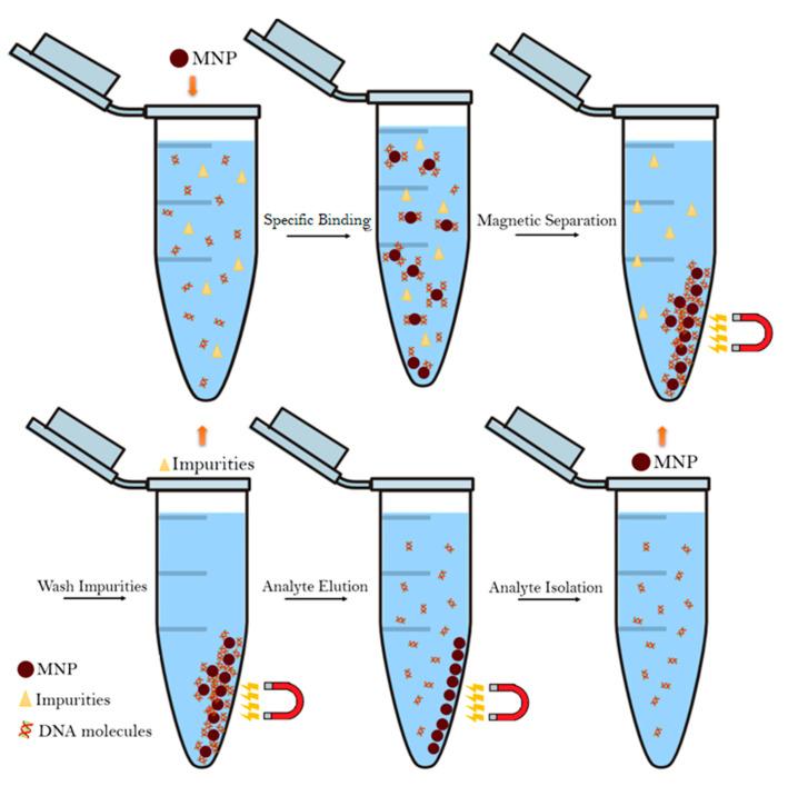 https://cdn.ncbi.nlm.nih.gov/pmc/blobs/d164/8706278/b530f3c0b062/nanomaterials-11-03432-g005.jpg