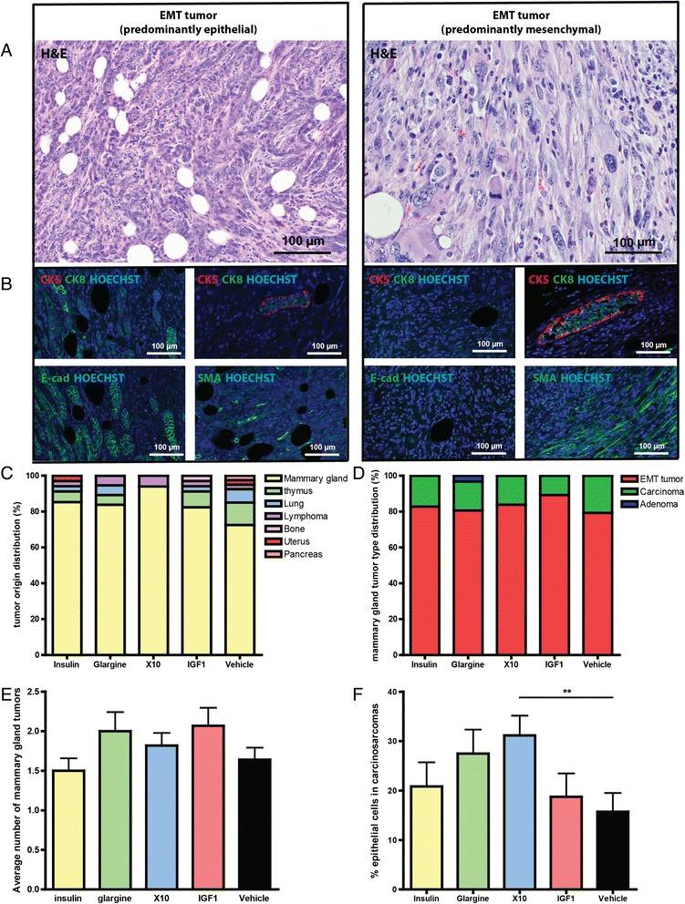 https://cdn.ncbi.nlm.nih.gov/pmc/blobs/d167/4349771/3cead727e833/13058_2015_518_Fig2_HTML.jpg