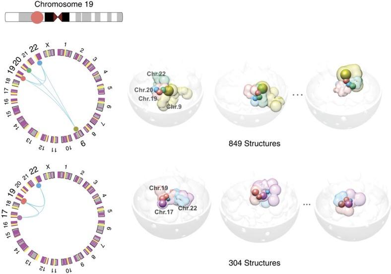 https://cdn.ncbi.nlm.nih.gov/pmc/blobs/d168/4895025/c304372cd444/ncomms11549-f2.jpg