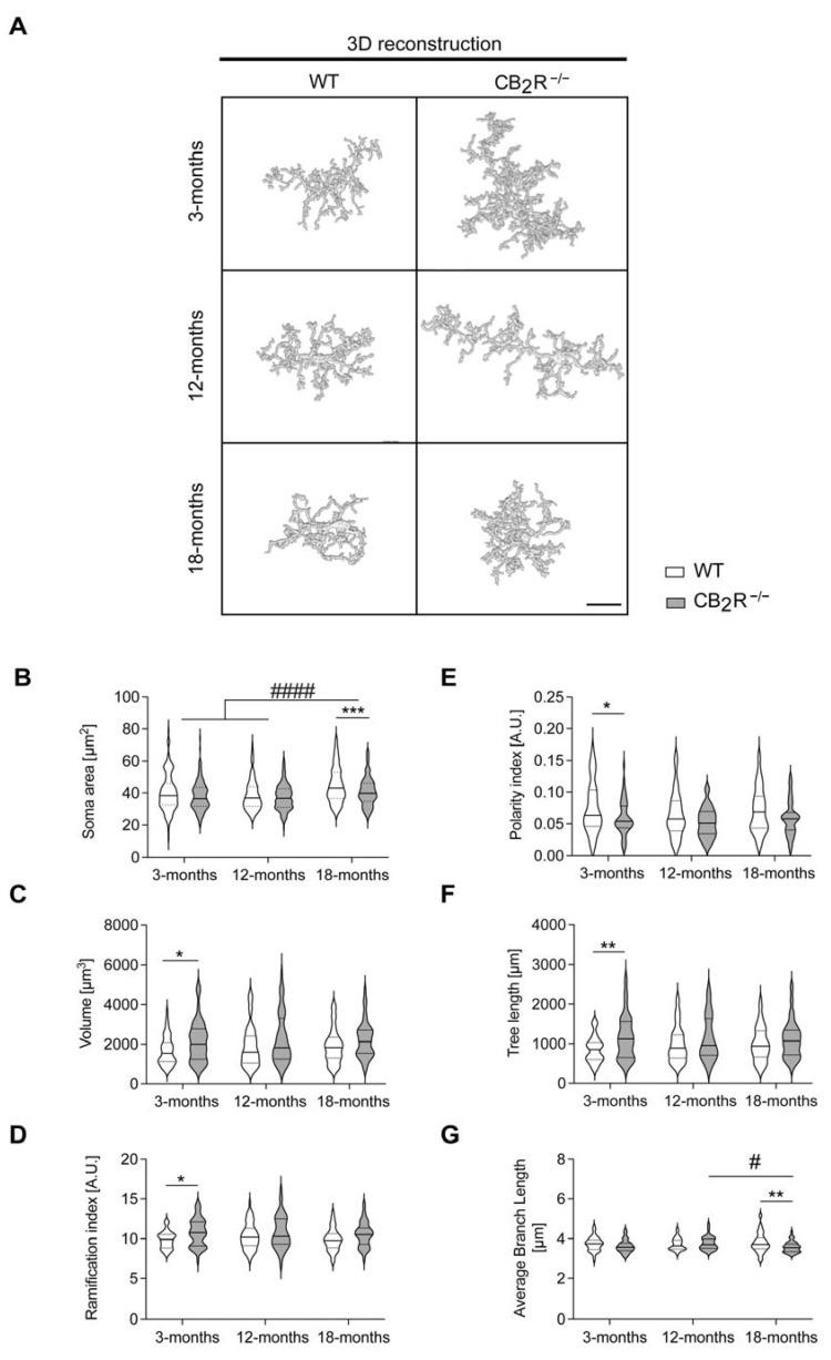 https://cdn.ncbi.nlm.nih.gov/pmc/blobs/d168/8513097/95da66d1a599/molecules-26-05984-g007.jpg