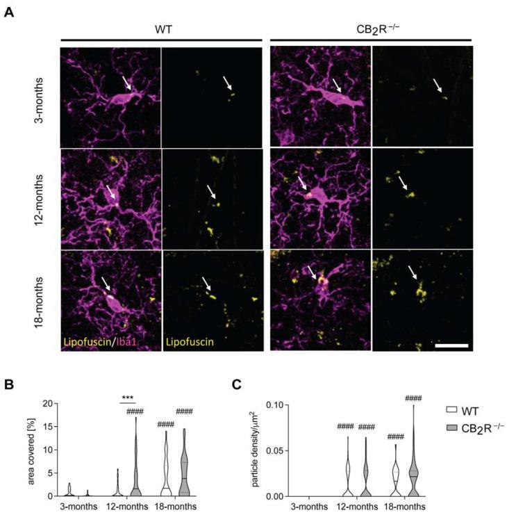 https://cdn.ncbi.nlm.nih.gov/pmc/blobs/d168/8513097/c9965ffd4663/molecules-26-05984-g004.jpg