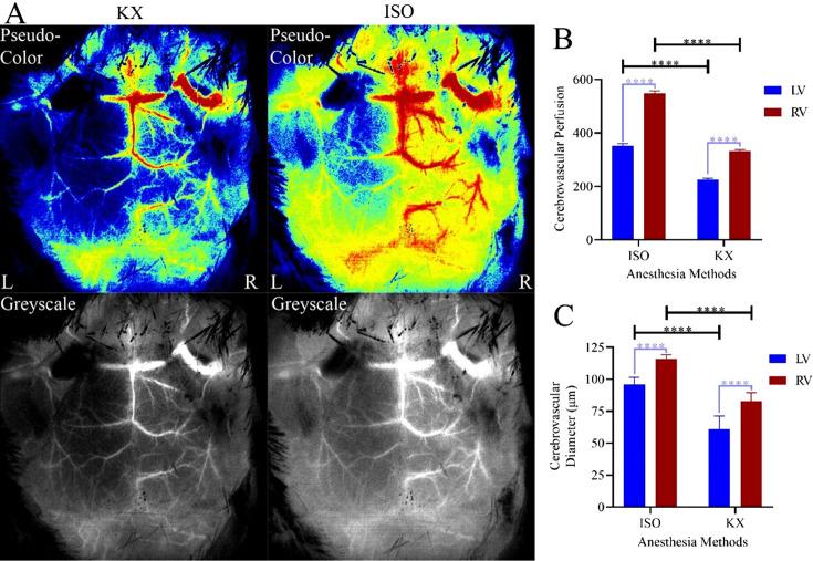 https://cdn.ncbi.nlm.nih.gov/pmc/blobs/d169/10202719/324d34d294ee/expanim-72-209-g004.jpg