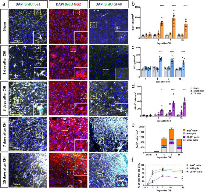 https://cdn.ncbi.nlm.nih.gov/pmc/blobs/d169/10825139/92b3ca18d8b0/41598_2024_52337_Fig4_HTML.jpg