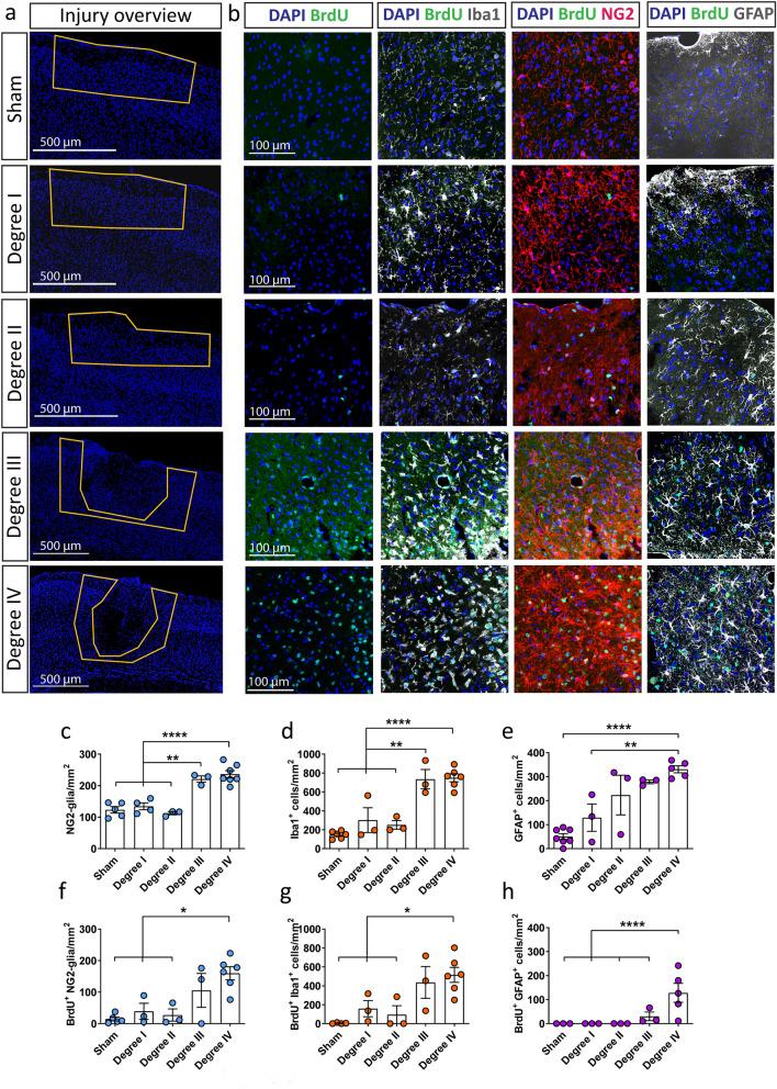 https://cdn.ncbi.nlm.nih.gov/pmc/blobs/d169/10825139/b522d62db64c/41598_2024_52337_Fig2_HTML.jpg