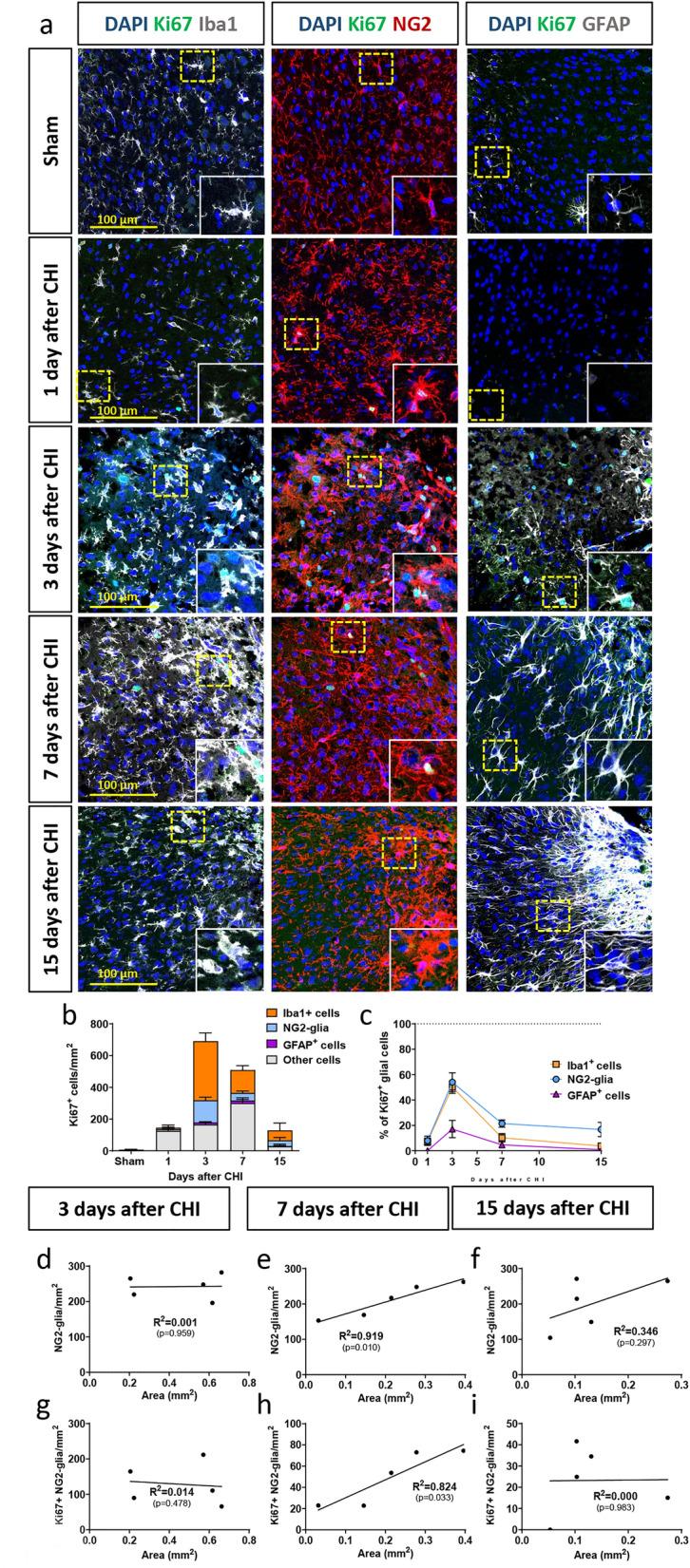 https://cdn.ncbi.nlm.nih.gov/pmc/blobs/d169/10825139/b5c81629d978/41598_2024_52337_Fig5_HTML.jpg