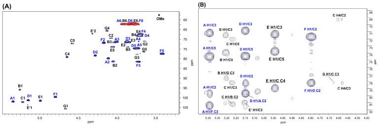 https://cdn.ncbi.nlm.nih.gov/pmc/blobs/d169/11989651/aaf7e44a4537/ijms-26-03177-g003.jpg