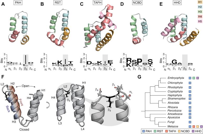https://cdn.ncbi.nlm.nih.gov/pmc/blobs/d169/7948954/6bea88cc6f88/gr1.jpg
