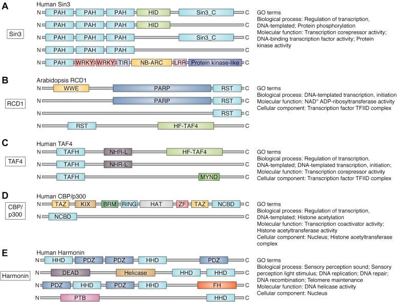 https://cdn.ncbi.nlm.nih.gov/pmc/blobs/d169/7948954/aaf9fef62f0d/gr2.jpg