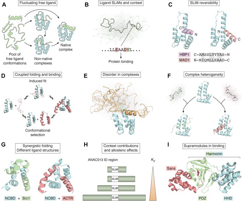 https://cdn.ncbi.nlm.nih.gov/pmc/blobs/d169/7948954/b1a0aaaa353b/gr5.jpg