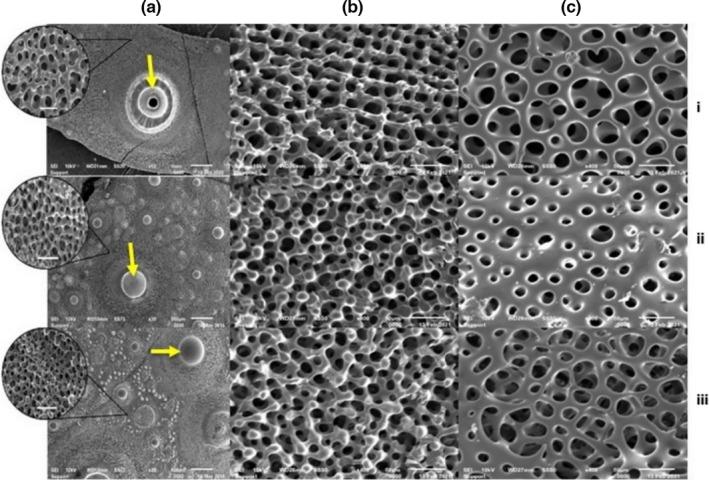 https://cdn.ncbi.nlm.nih.gov/pmc/blobs/d169/8717311/794664d6fc6a/ECE3-11-17734-g005.jpg