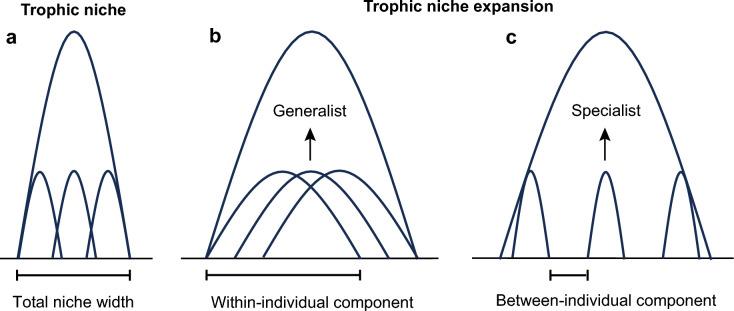 https://cdn.ncbi.nlm.nih.gov/pmc/blobs/d16b/11657682/da72ed116c81/12983_2024_553_Fig1_HTML.jpg