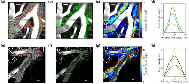 https://cdn.ncbi.nlm.nih.gov/pmc/blobs/d16b/7979157/c9fe70796914/elife-65958-fig2.jpg