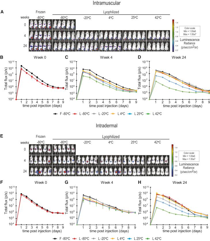 https://cdn.ncbi.nlm.nih.gov/pmc/blobs/d16b/9092300/e6792cfa03e6/gr2.jpg