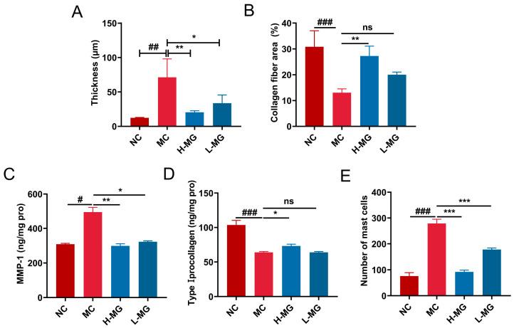 https://cdn.ncbi.nlm.nih.gov/pmc/blobs/d16d/11763201/ecb49862e4a3/antioxidants-14-00030-g005.jpg