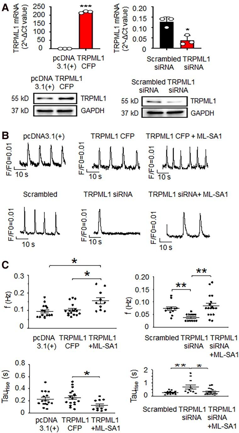 https://cdn.ncbi.nlm.nih.gov/pmc/blobs/d16e/10255768/76e411f893f7/pgad174f3.jpg