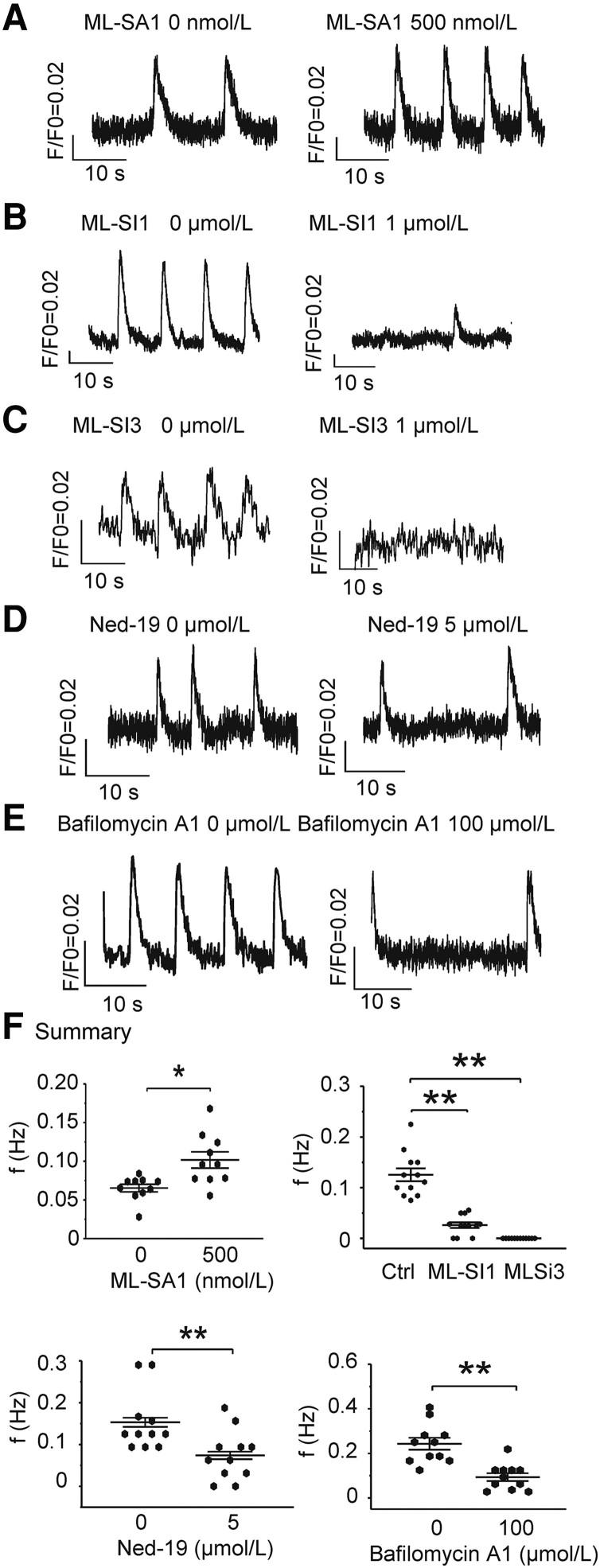 https://cdn.ncbi.nlm.nih.gov/pmc/blobs/d16e/10255768/c440b5886c69/pgad174f2.jpg