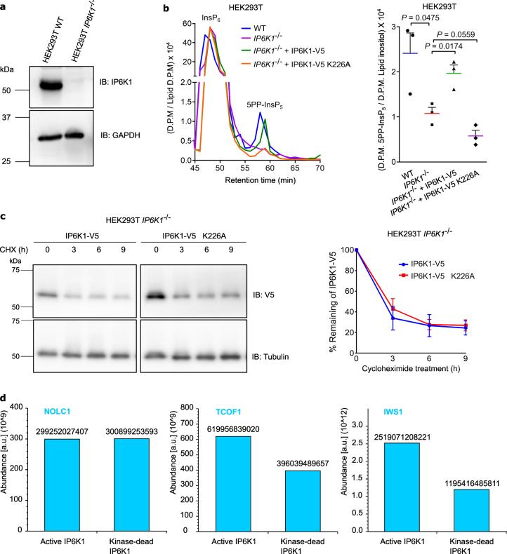 https://cdn.ncbi.nlm.nih.gov/pmc/blobs/d170/11427299/1f9e93d4cad7/41589_2024_1613_Fig10_ESM.jpg