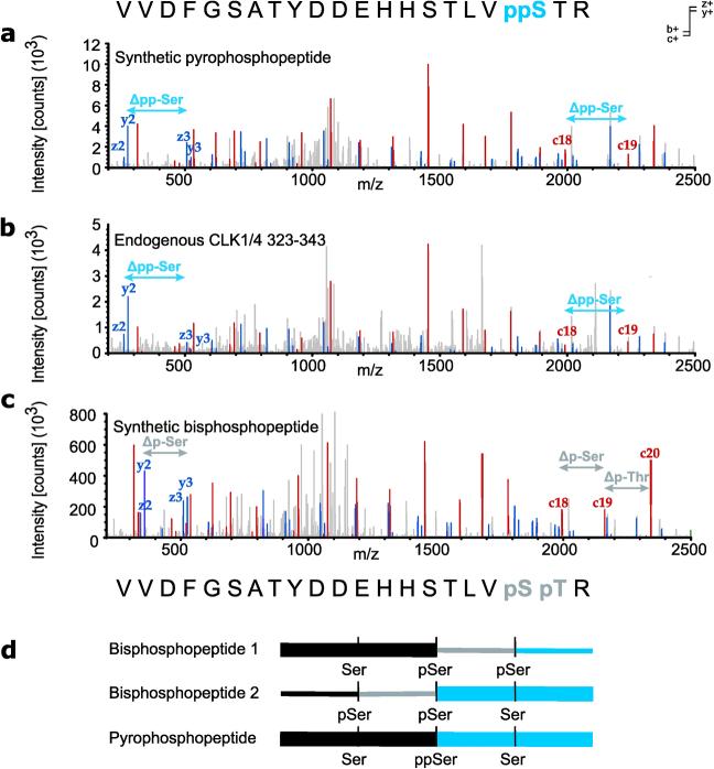 https://cdn.ncbi.nlm.nih.gov/pmc/blobs/d170/11427299/424b4d296e56/41589_2024_1613_Fig8_ESM.jpg