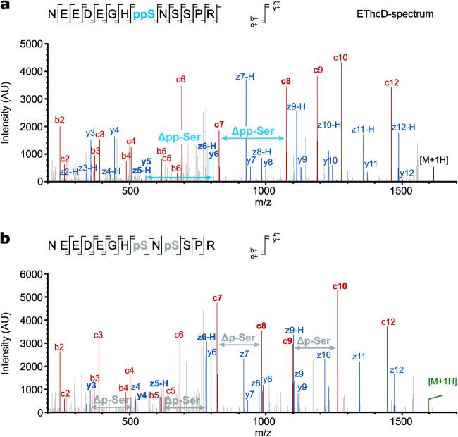 https://cdn.ncbi.nlm.nih.gov/pmc/blobs/d170/11427299/eec5f37b9ac0/41589_2024_1613_Fig6_ESM.jpg