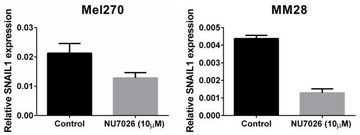 https://cdn.ncbi.nlm.nih.gov/pmc/blobs/d170/6721581/2d65dfa08bb6/cancers-11-01104-g005.jpg