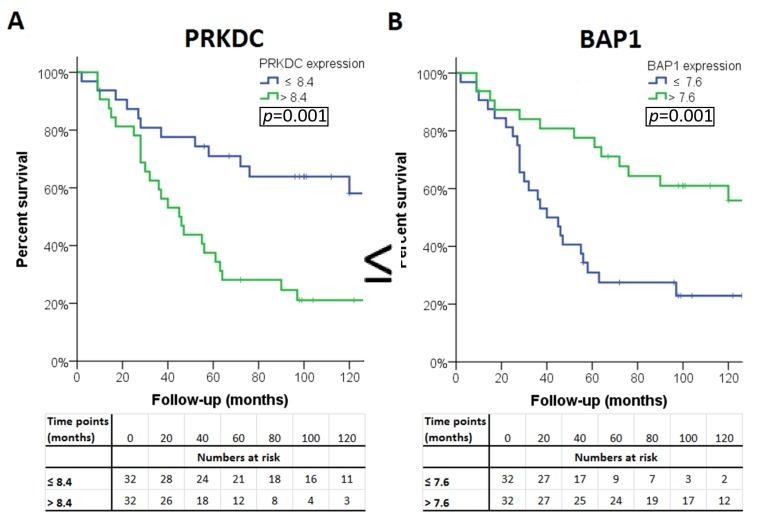 https://cdn.ncbi.nlm.nih.gov/pmc/blobs/d170/6721581/c49ba9ed2447/cancers-11-01104-g002a.jpg