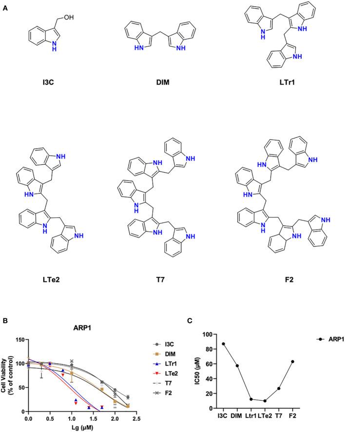 https://cdn.ncbi.nlm.nih.gov/pmc/blobs/d173/10539572/d42050cc5b90/fonc-13-1269670-g001.jpg