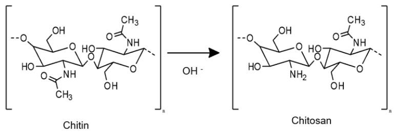 https://cdn.ncbi.nlm.nih.gov/pmc/blobs/d173/11359377/2adc82c57762/pharmaceutics-16-00969-g003.jpg