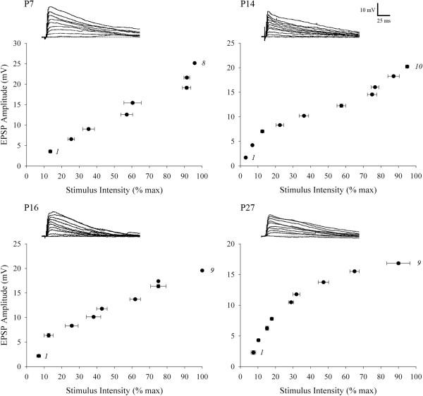 https://cdn.ncbi.nlm.nih.gov/pmc/blobs/d174/3878090/5eb37bf10575/1749-8104-8-24-3.jpg