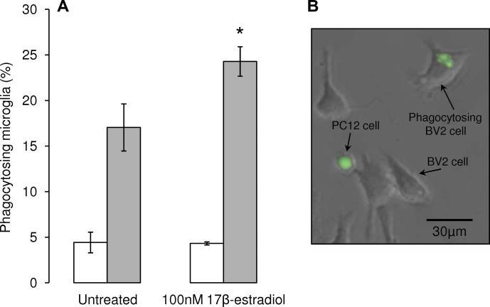 https://cdn.ncbi.nlm.nih.gov/pmc/blobs/d174/4096384/5d19f3ce9ffe/gr4.jpg