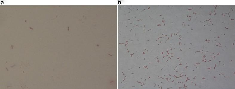 https://cdn.ncbi.nlm.nih.gov/pmc/blobs/d174/7494185/66e083b0c006/acmi-2-123-g001.jpg