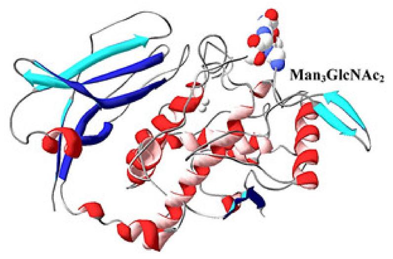 https://cdn.ncbi.nlm.nih.gov/pmc/blobs/d174/7690630/956b4f7f1a6e/biomolecules-10-01470-g019.jpg