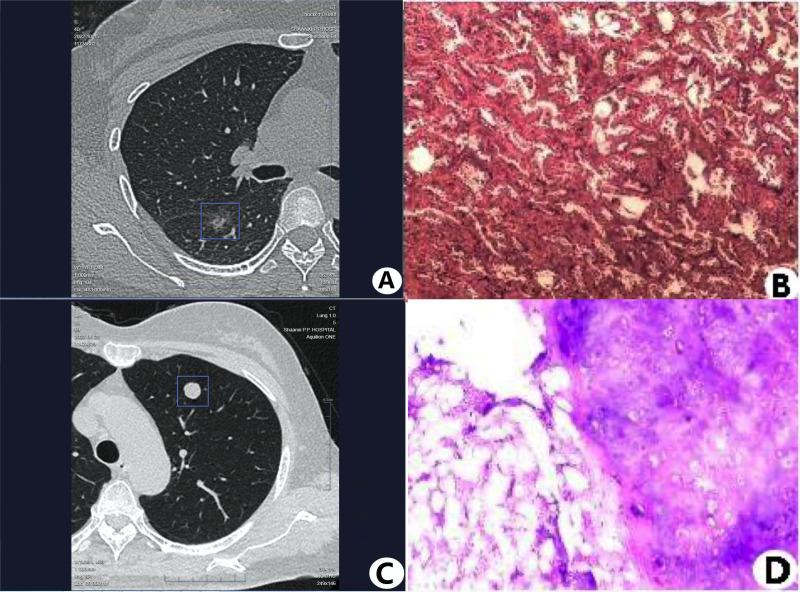 https://cdn.ncbi.nlm.nih.gov/pmc/blobs/d176/10768667/23211fc46369/peerj-12-16577-g001.jpg