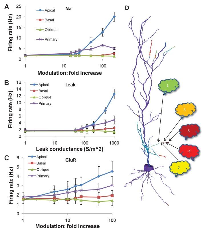 https://cdn.ncbi.nlm.nih.gov/pmc/blobs/d17d/5426902/169246274161/elife-25827-fig7.jpg