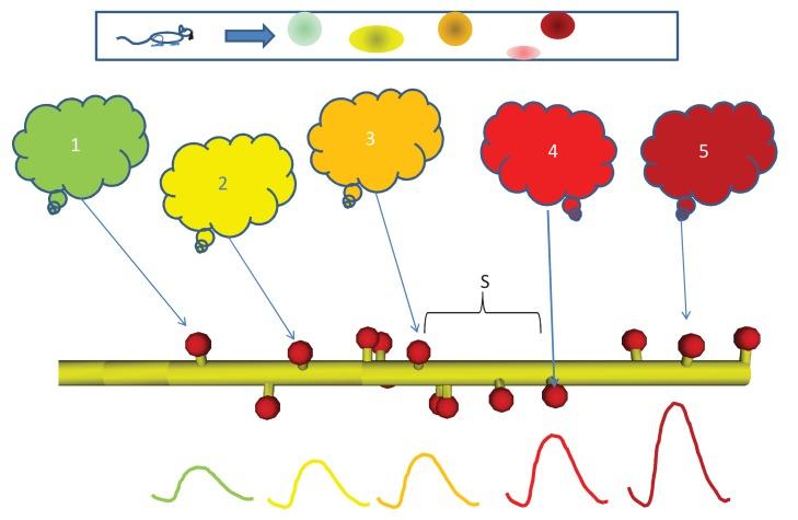 https://cdn.ncbi.nlm.nih.gov/pmc/blobs/d17d/5426902/6b63c6bccdf1/elife-25827-fig1.jpg