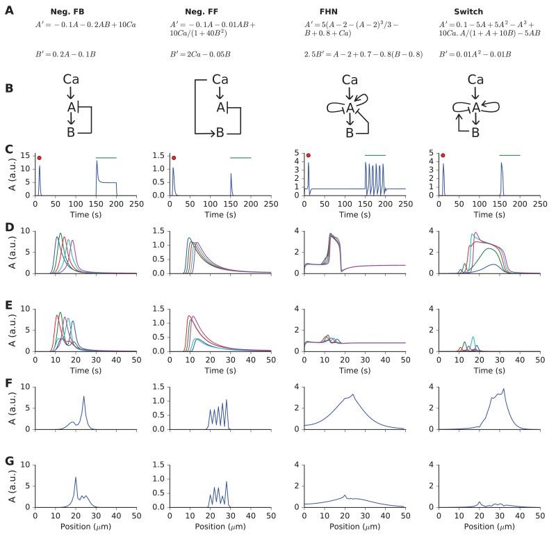 https://cdn.ncbi.nlm.nih.gov/pmc/blobs/d17d/5426902/ab5c1a1c1671/elife-25827-fig2.jpg