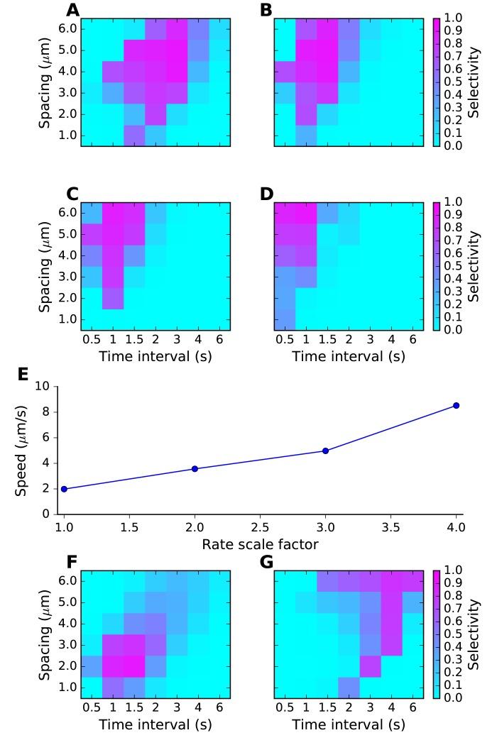 https://cdn.ncbi.nlm.nih.gov/pmc/blobs/d17d/5426902/c34008f9fff1/elife-25827-fig4.jpg