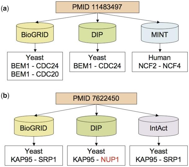 https://cdn.ncbi.nlm.nih.gov/pmc/blobs/d17f/2963317/c0e481b6663b/baq023f6.jpg