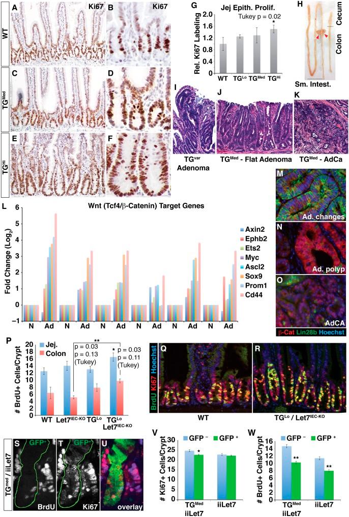 https://cdn.ncbi.nlm.nih.gov/pmc/blobs/d181/3814644/2d1bf4cb2f72/2233fig5.jpg